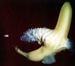 Banana explosion